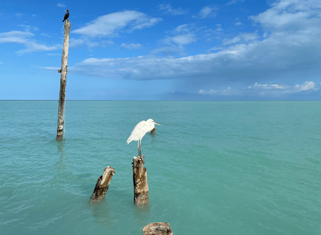 Holbox Quintana Roo Mexico