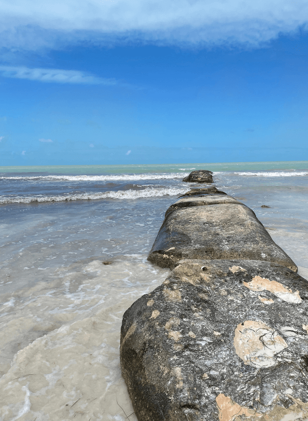 Viaje a Holbox - Isla Holbox - Nota blog TTH